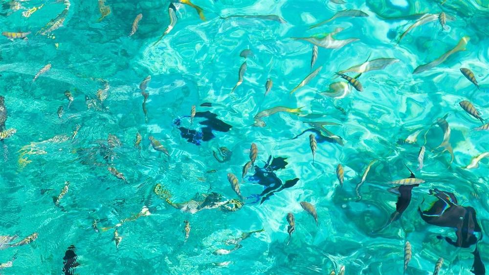 The Marlin At Taino Beach Resort Фрипорт-Сити Экстерьер фото