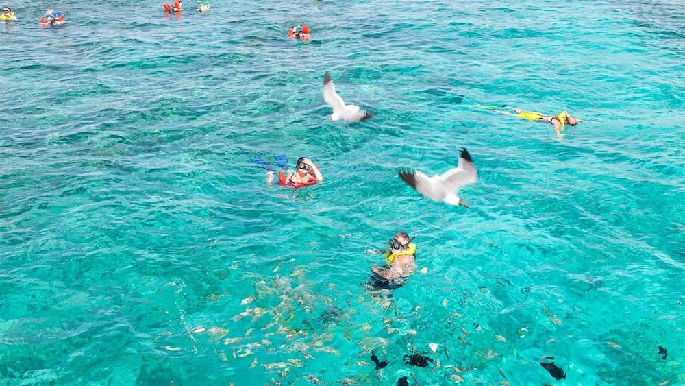The Marlin At Taino Beach Resort Фрипорт-Сити Экстерьер фото